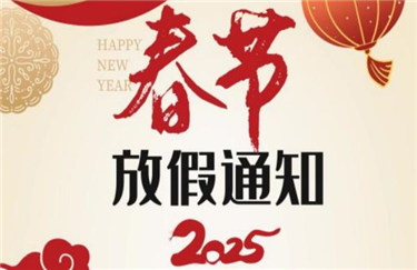 Dinghua Technology 2025 Spring Festival Holiday Notice